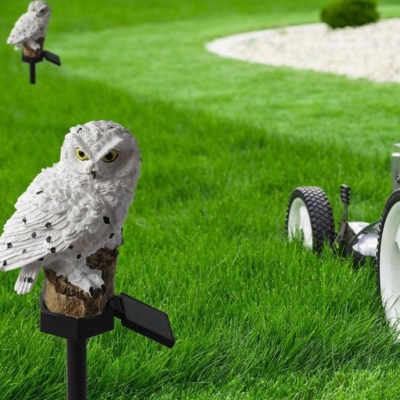 Area Garden Owl Solar Light - Area Collections