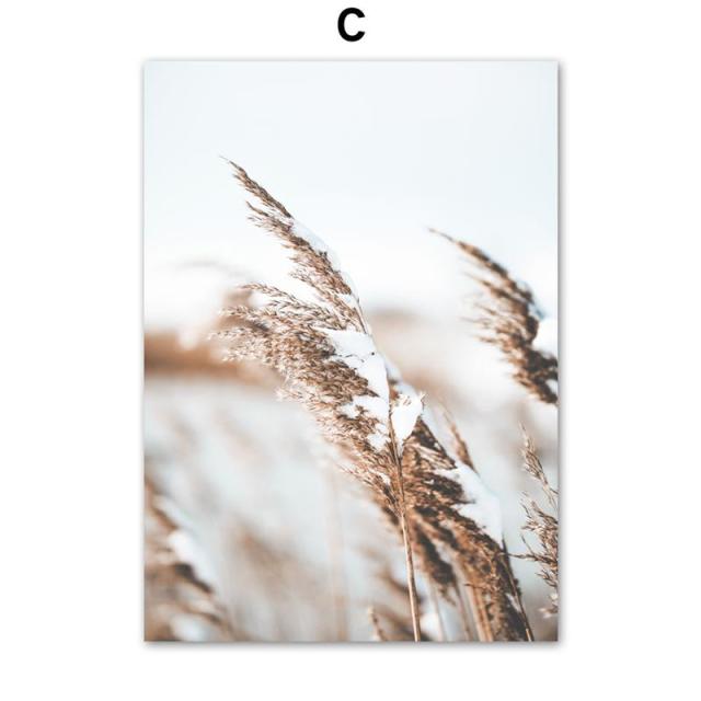 Beige Reed Dried Flower Wall Art - Area Collections