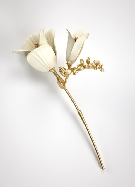 Luxe Golden Flower - Area Collections