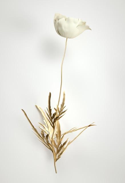 Luxe Golden Flower - Area Collections