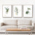 Area Leaf Botanical Canvas Painting - Area Collections