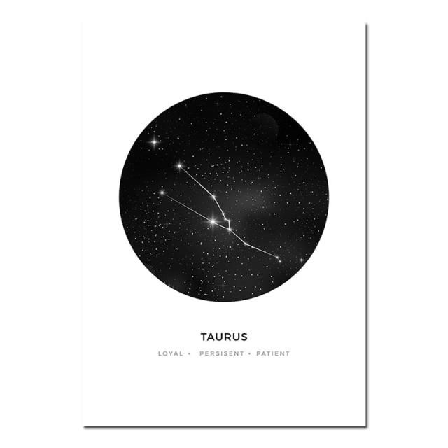 Astronomy Constellation White Background Wall Art - Area Collections