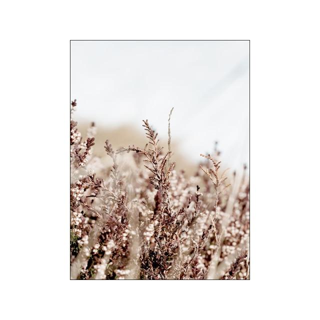 Nordic Landscape Abstract Lines Wall Art - Area Collections