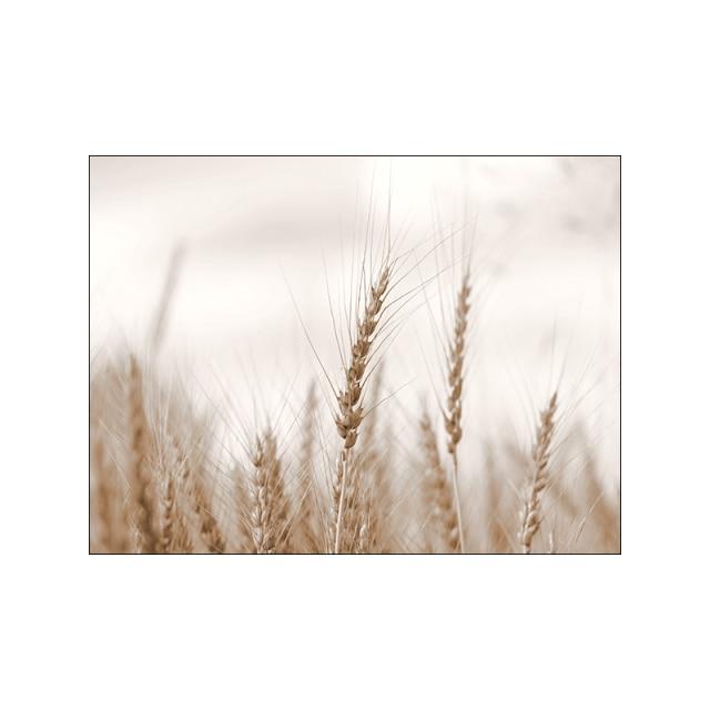 Nordic Landscape Abstract Lines Wall Art - Area Collections